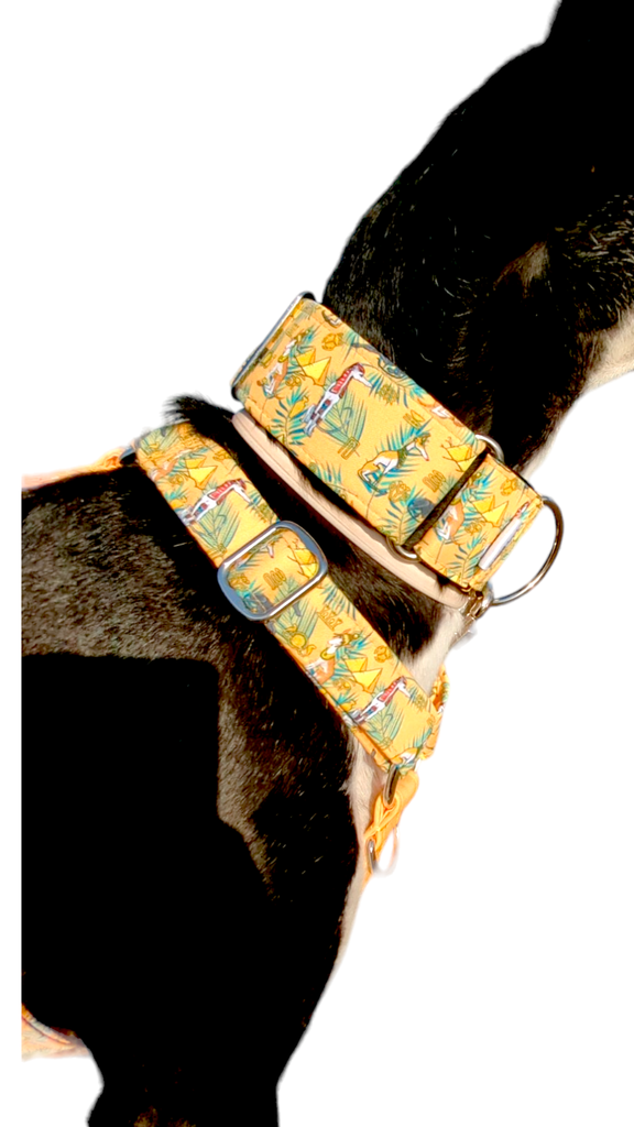 MARTINGALE EGIPTO AMARILLO 