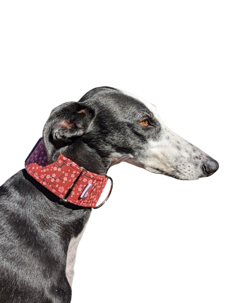 Collar martingale flor rojo