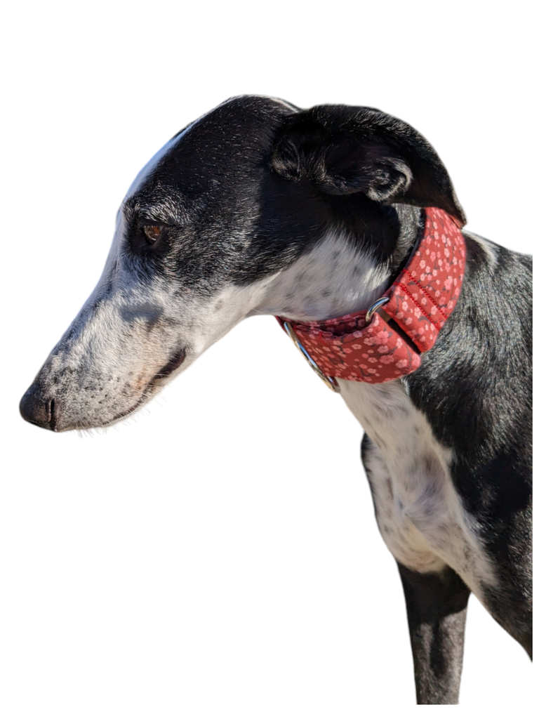 Collar martingale flor rojo