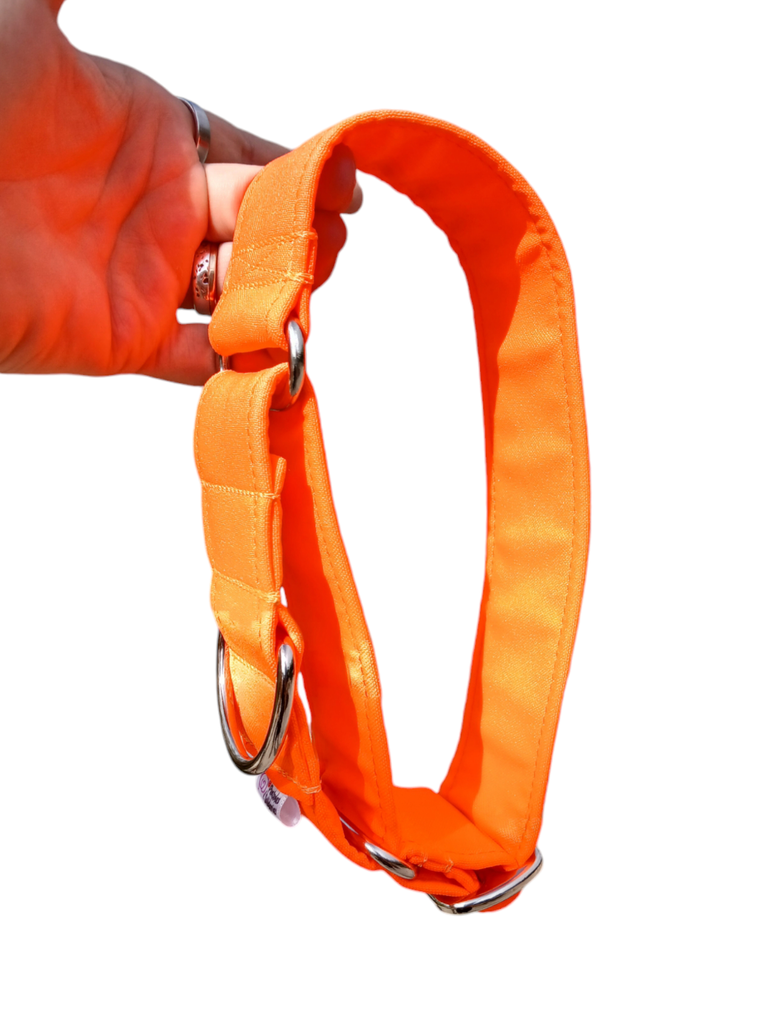 Collar martingale naranja fúor