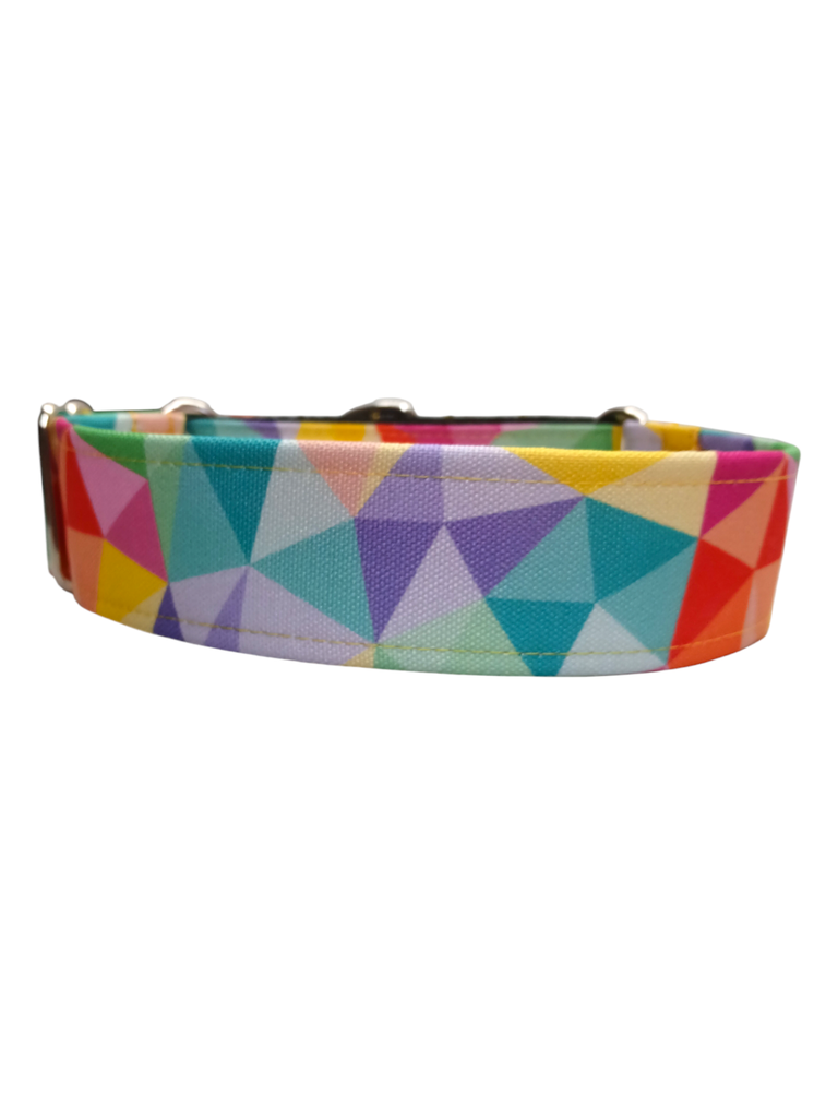 Collar martingale de 4 cm arcoiris impermeable 