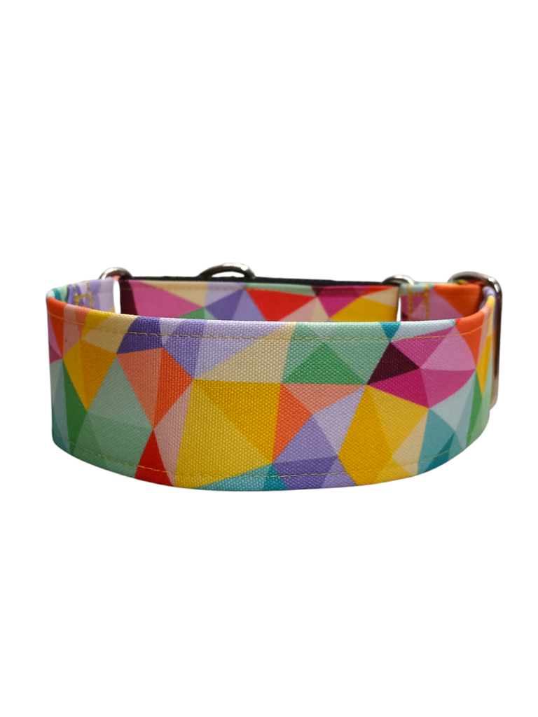 Collar martingale de 5 cm arcoiris impermeable