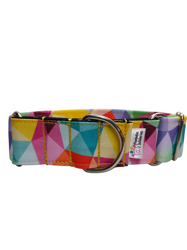 Collar martingale de 4 cm arcoiris impermeable 